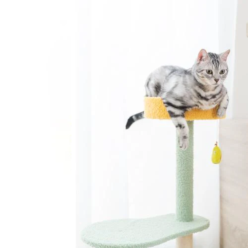 

Pawise Cat Tree Tower Climbing Bed With Scratching Toy Funny Cat Toys Stuff Ball Jump Exercise Activity Cat Flower Tower
