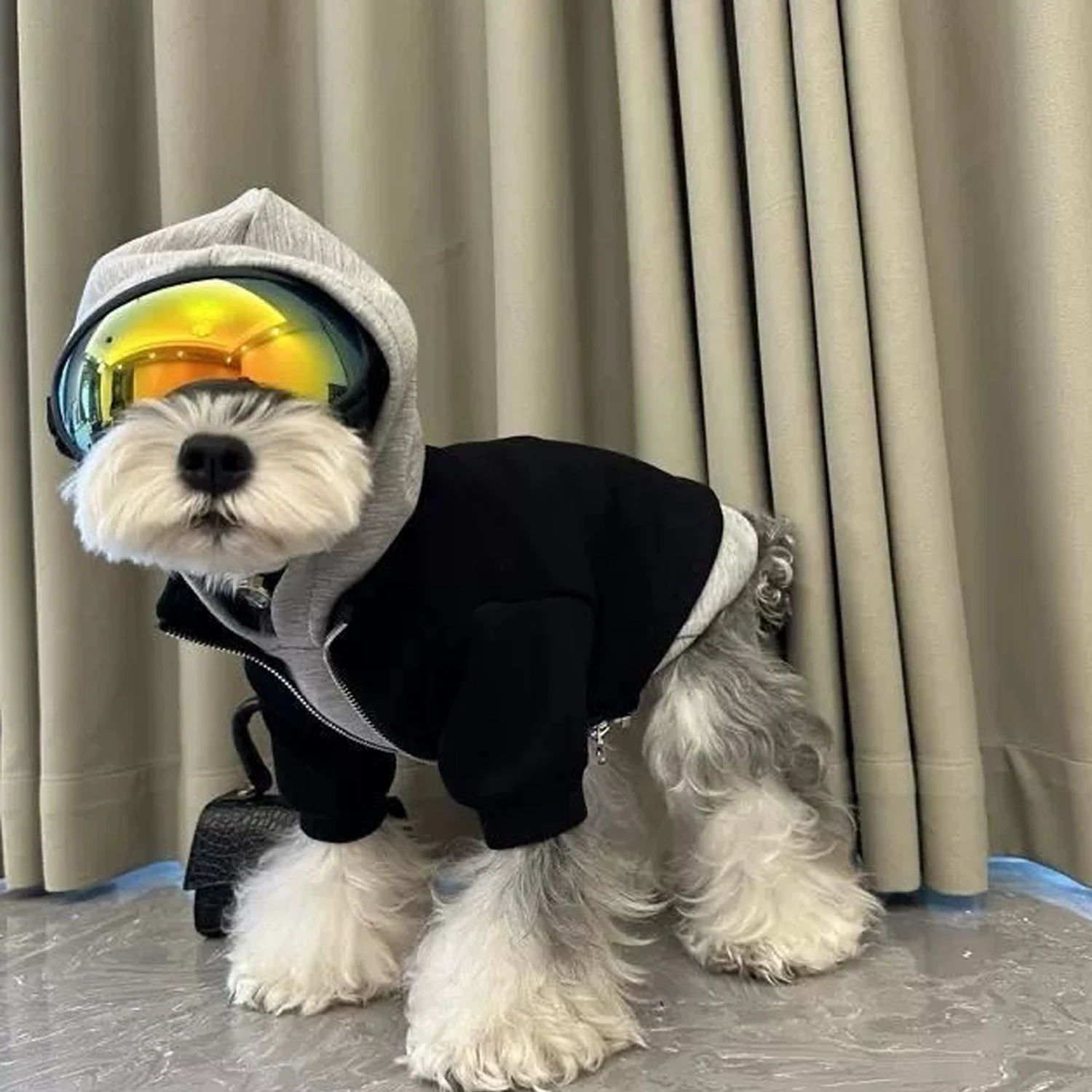 Dog Clothes Sweatshirt Two-piece Hooded Design Autumn Winter Warm Schnauzer Bichon Frise Poodle Shiba Inu West Highland Terrier