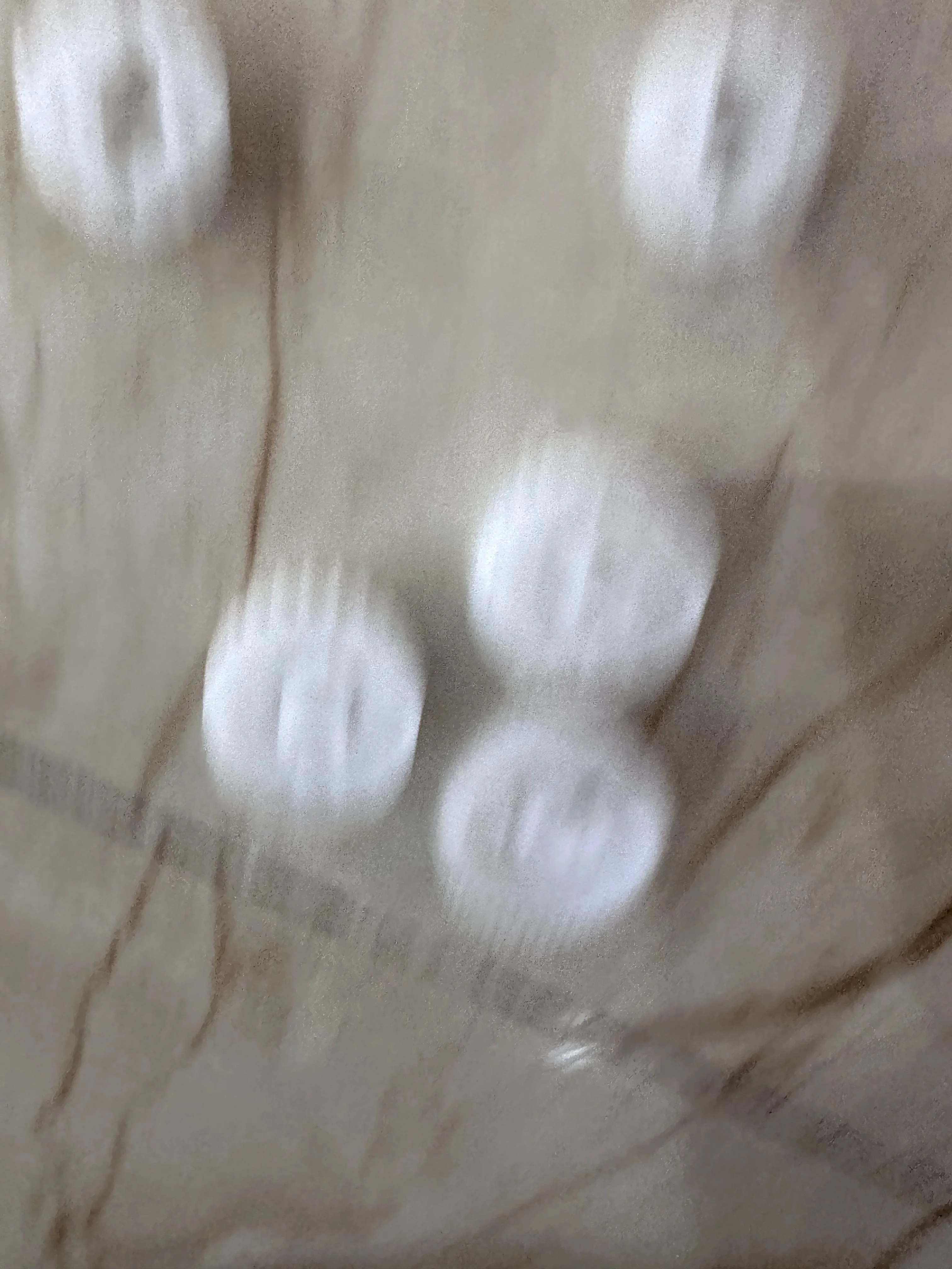 

10X Fuser Drive Gear for Brother L2500 L2520 L2540 L2560 L2300 L2320 L2340 L2360 L2380 L2680 L2700 L2703 L2705 L2720 L2740