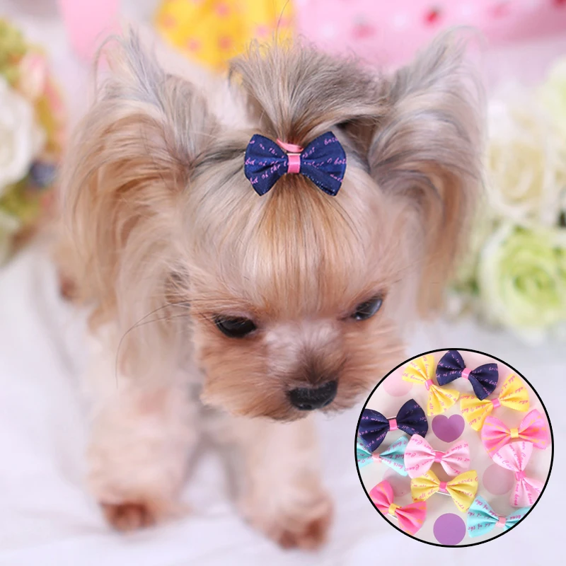 5pcs Dog Bow Multiple Grooming Bows Hair Clip for Puppy Small Dogs Pet Grooming Accessories Puppy Supplies Pet Supplies