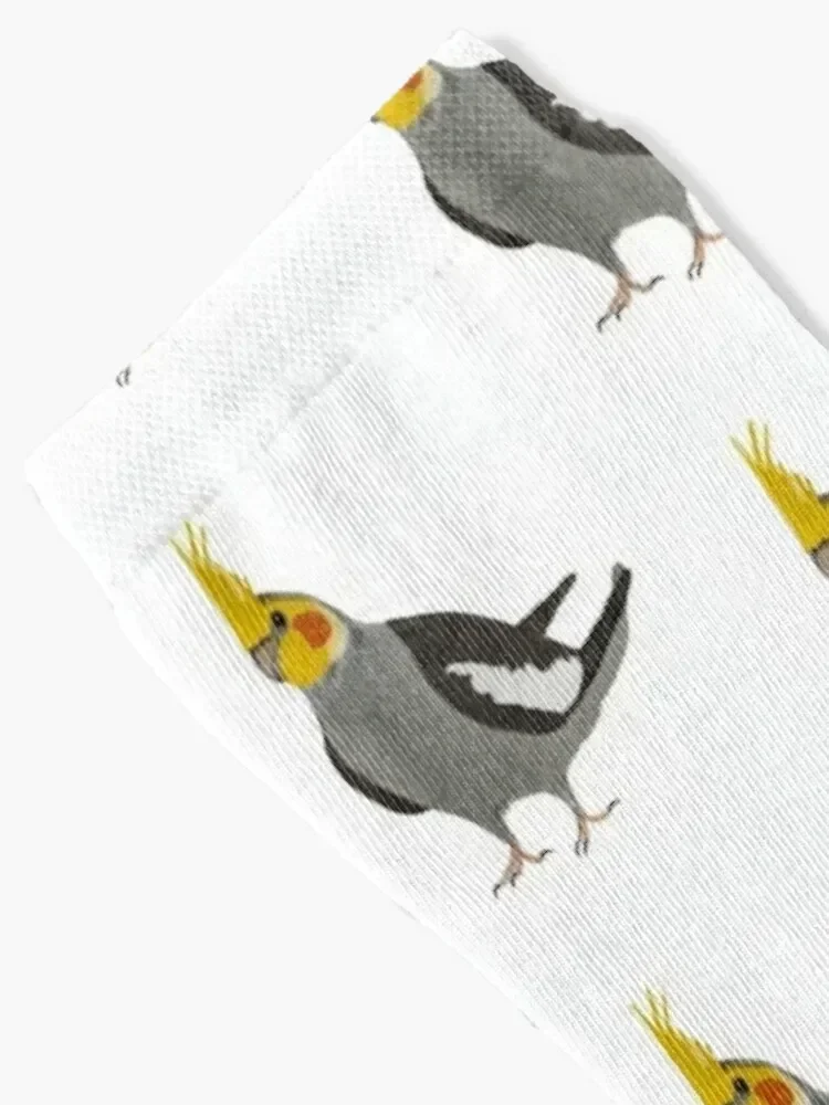 Cockatiel Parrot Calcetines algodón hombre Lotes medias navideñas Calcetines Mujer Hombre