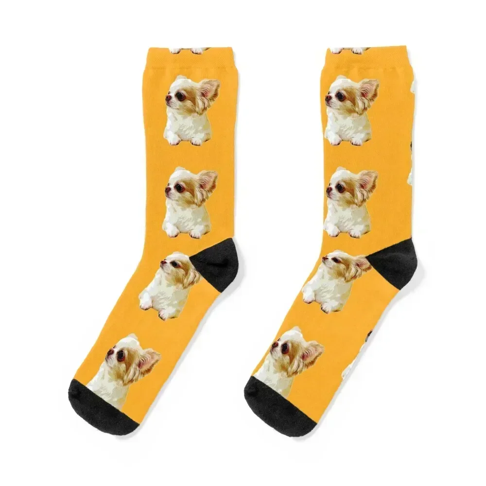 

Chihuahua Puppy Dog Socks hockey floral luxe set Men's Socks Women's