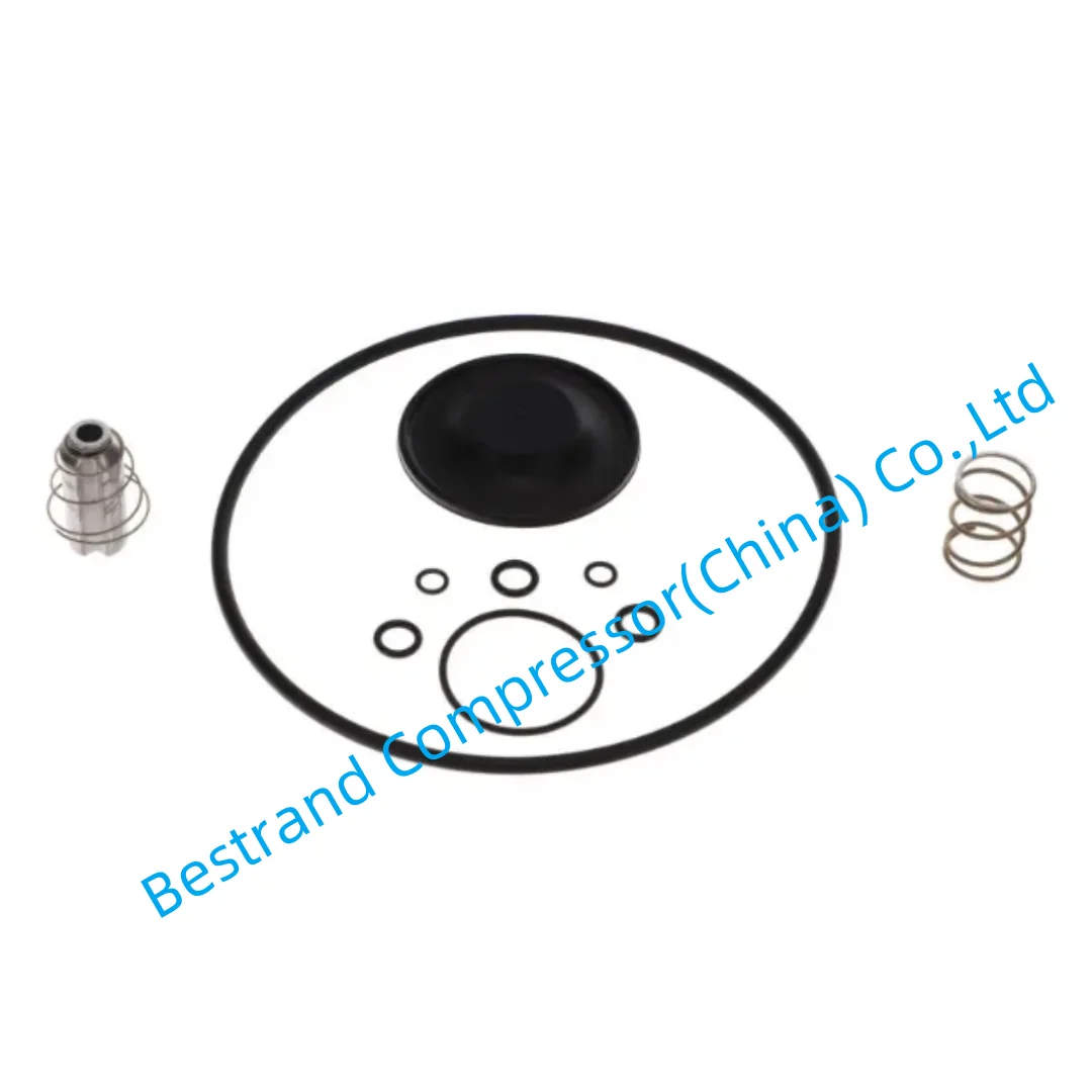 

Atlas copco spare parts 2901065900 WEARING PARTS FOR OIL FREE COMPRESSORS