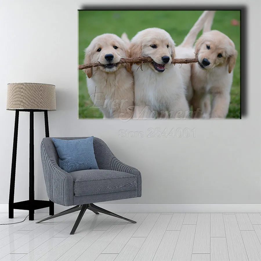 Ever Moment Diamond Painting Golden Retriever Pet Dog Mosaic Full Square Drill Picture Of Rhinestone Wall Decoration DIY ASF2379