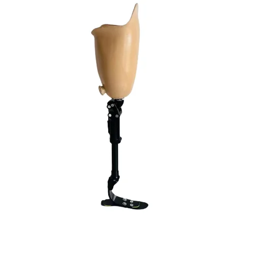 

Pneumatic Knee Type Prosthetic Implant Leg Artificial Limbs Leg for Amputee Leg Prosthesis