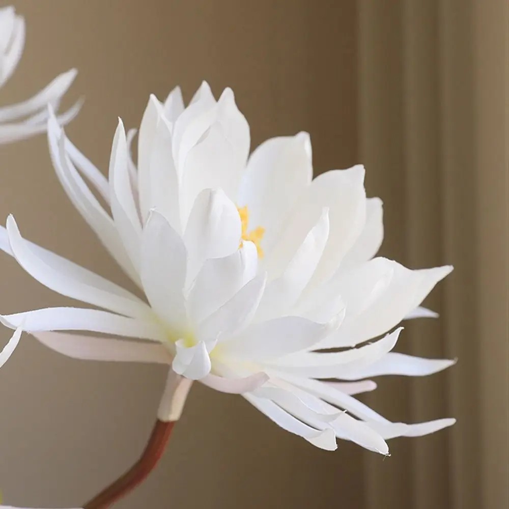 75 سنتيمتر باقة Epiphyllum الاصطناعية لمسة حقيقية اليدوية محاكاة فروع Epiphyllum أنيقة واقعية وهمية زهرة #2