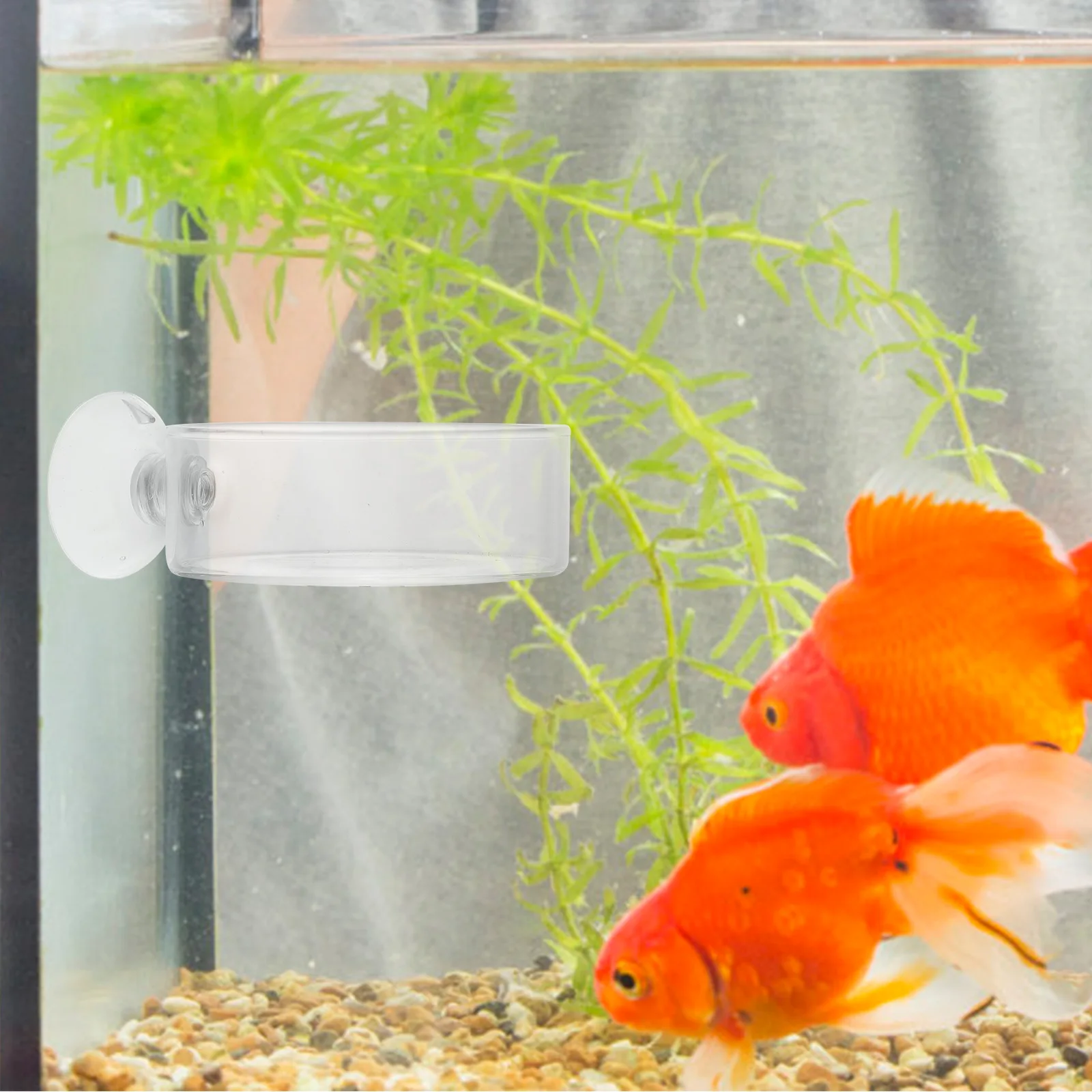 

2PCS Pot Glass Acrylic Bowls Suction Cup Fish Tank Supplies Durable Pet Feeders Trays Aquarium Accessories