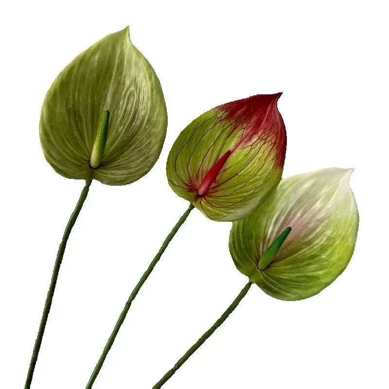 

10pcs Artificial 3D Print Alocasia Amazonica Flower Branch Flamingo Lily Real Touch Large Anthurium Plant