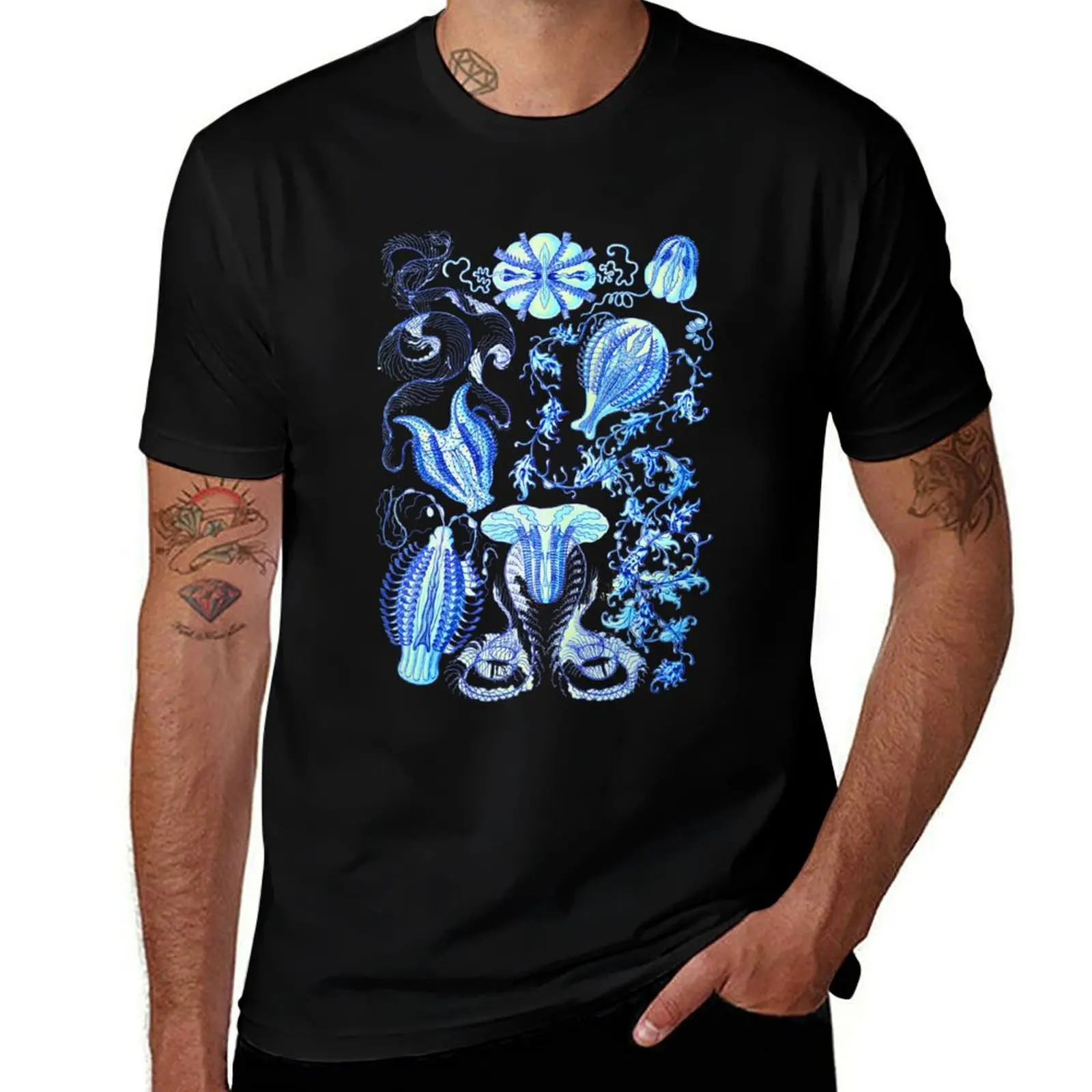 

Comb jellies (Ctenophora) T-Shirt sports fans topping sweat funny costumes Men's cotton t-shirt