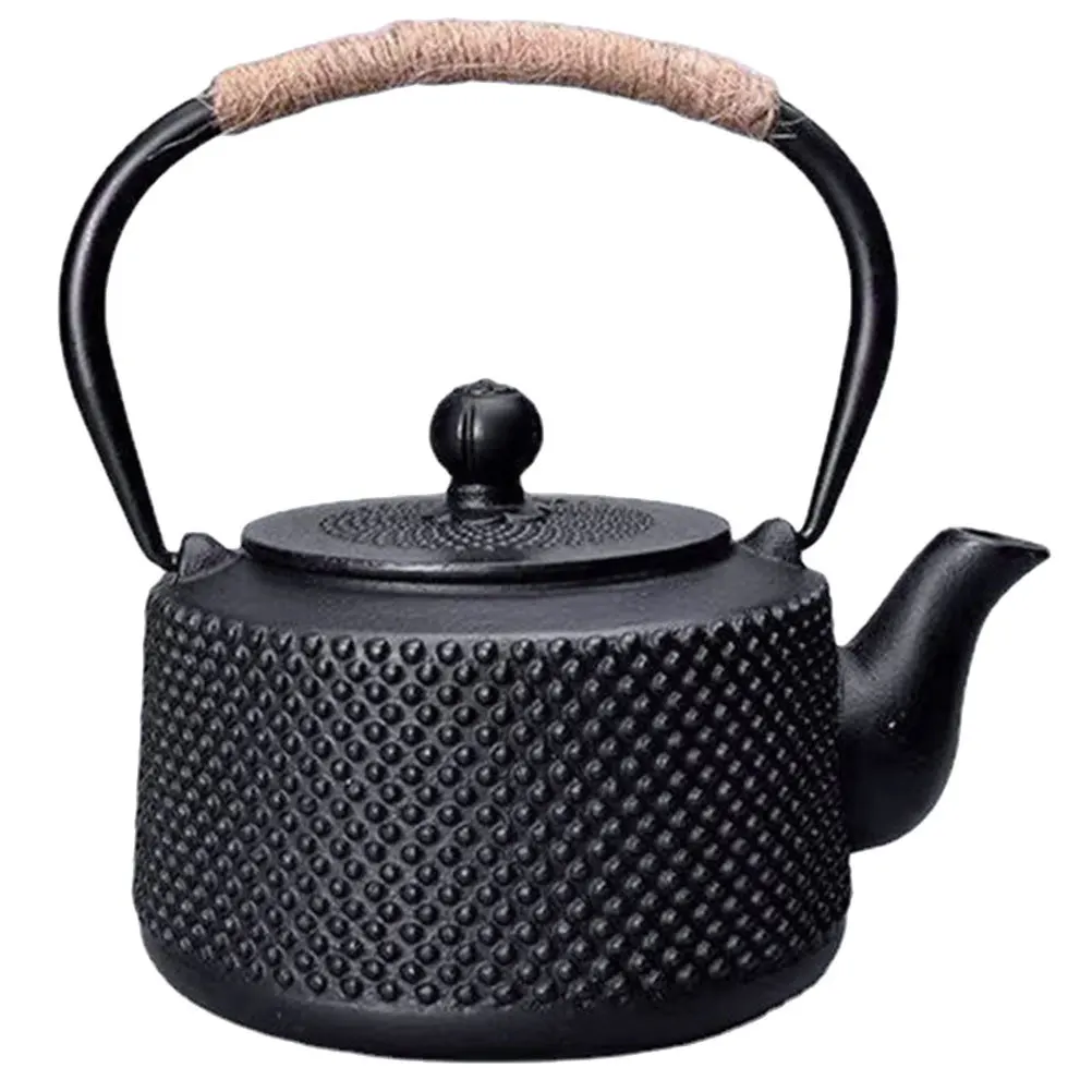 

Cast Iron Kettle Tea Set Pot Teapot Hand Brewing Chinese Loose with Infuser Flat