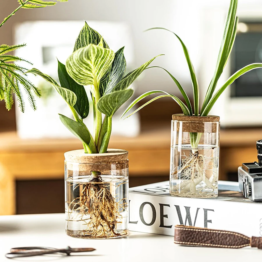 Plantenvoortplantingsstation, - Sphagnum Moss Bag recensie en prijs