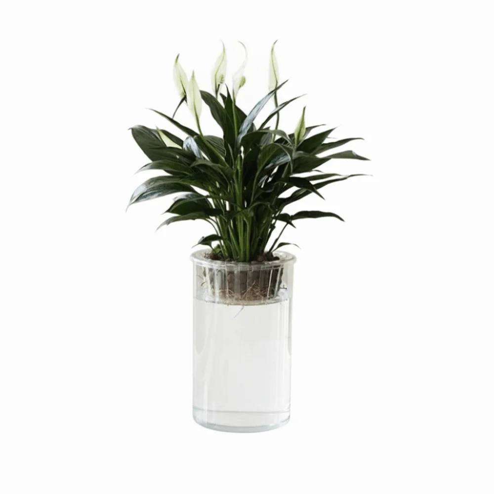 Clear Hydroponic Vase High Transparent Imitation Glass Mini Fish Tank Modern Decorative Lazy Flower Pot Indoor Garden