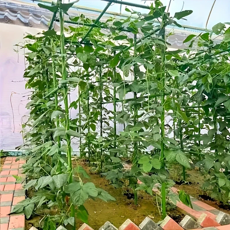 

82pcs Set - Heavy-Duty Metal Garden Plant Support Stakes with U-Shaped Trellis - For 2 Rows of 10 Plants, 70.87*35.43 Inches