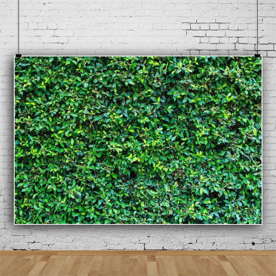 Fotografie Achtergrond Groen Gras Ontwerp Natuur Outdoorsy Kracht Achtergronden Gazon Patroon Pasgeboren Baby Kinderen Fotostudio Prop