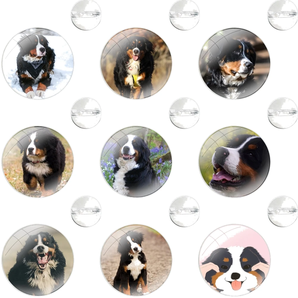 Glass Dome Brooches Shirt Lapel Bag Cute Badge Pins For Clothes Hat Accessories Bernese Mountain Dog