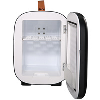 SucceBuy 4L Mini Car Refrigerator Lightweight Dual-Use Insulated Cooler Box Refrige Car Accessory for Tourist Camping Home Truck