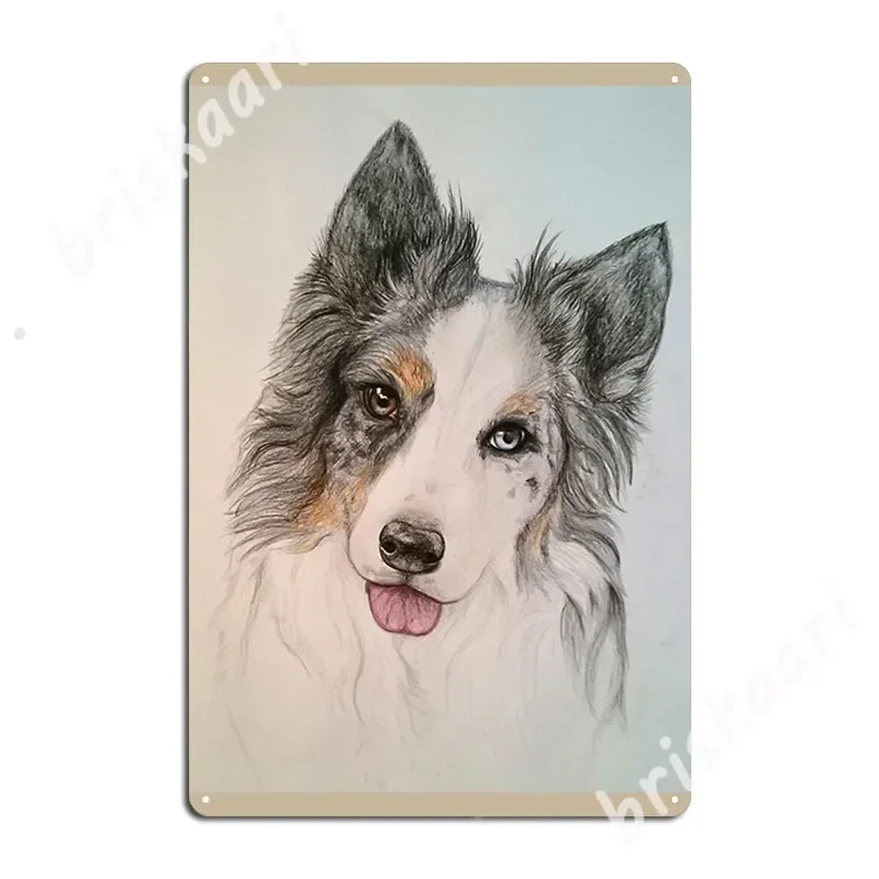 

Металлические знаки «Мерлин» Blue Merle Border Collie, настенная роспись для вечеринки, настенная табличка на заказ, жестяная вывеска, плакаты