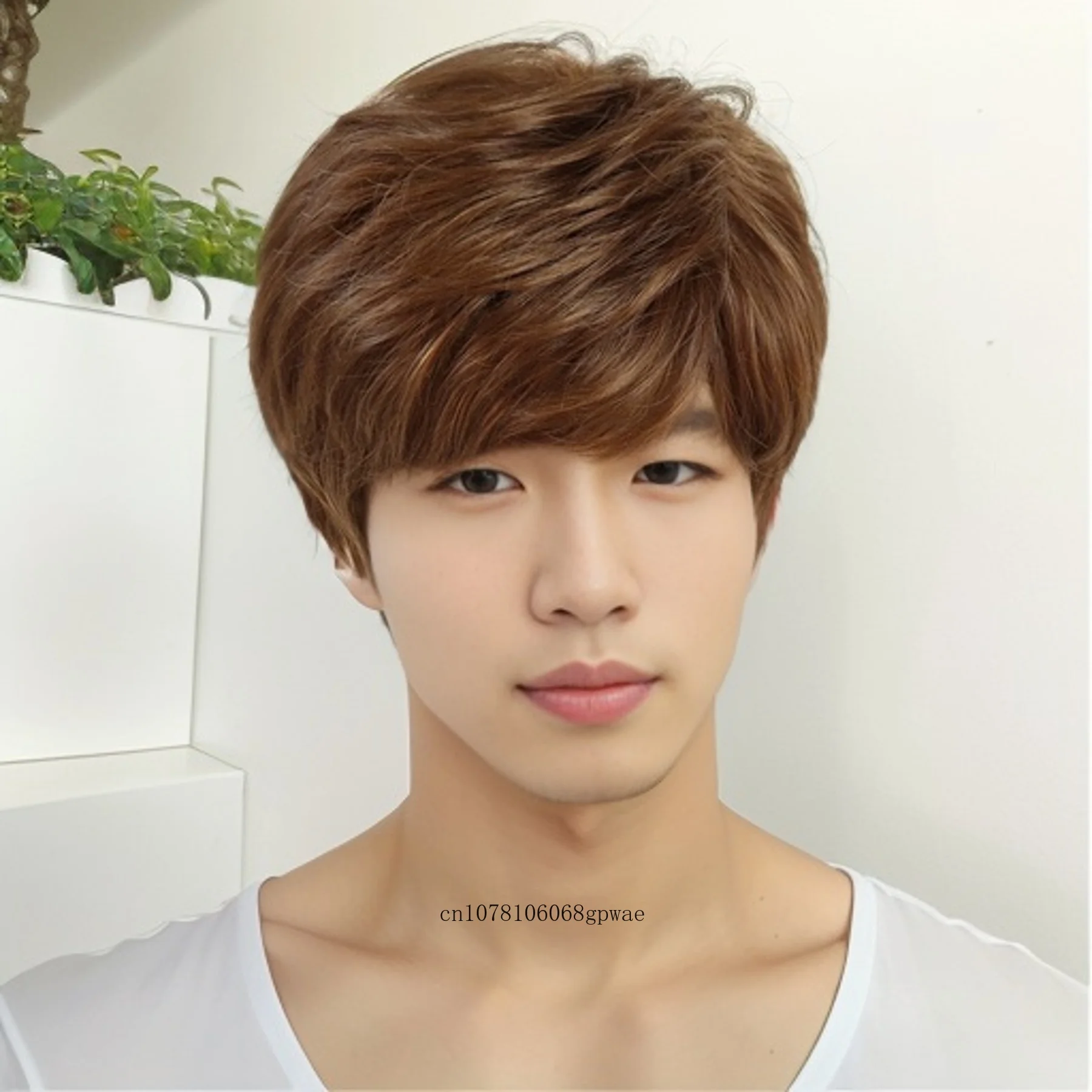 

Short Straight Wig Synthetic Hair Brown Wigs with Bangs for Men Male Guys Daily Party Cosplay Costume Daddy Wig Heat Resistant