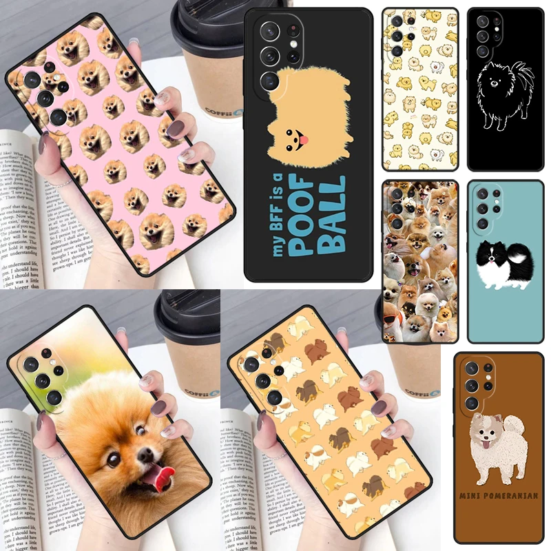 Pomeranian Dogs Dog… - image