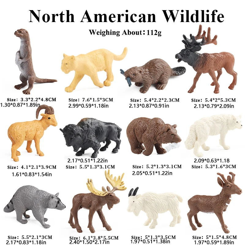 Oenux Montessori Spielzeug Wild Farm Dinosaurier Ozean Katze Tiere Modell Action Figur Zoo Figuren Nette Miniatur Bildung Kind Geschenk – Detail 8