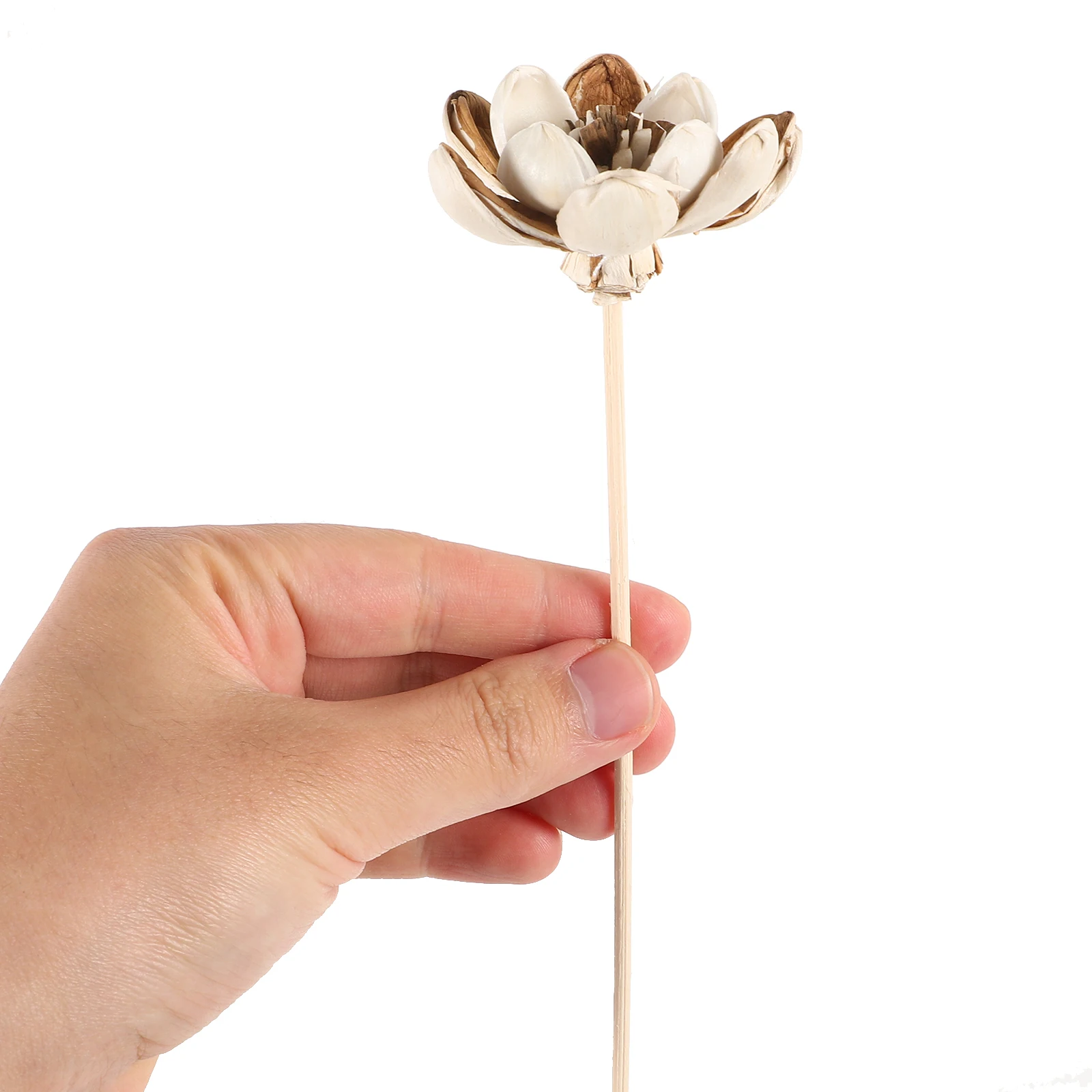 

5pcs Fragrance Diffusers Aromatherapy Flowers Simulation Decor Replaceable Reeds Wedding Sticks Essential