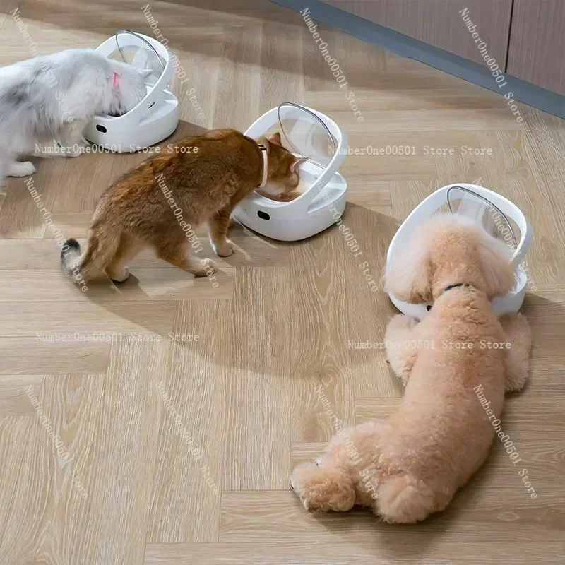 Smart Feeder Anti-snatch Replacement Chip Recognition Sensor Automatic Feeder, Dog and Cat Food Dispenser Prevent Stealing Food