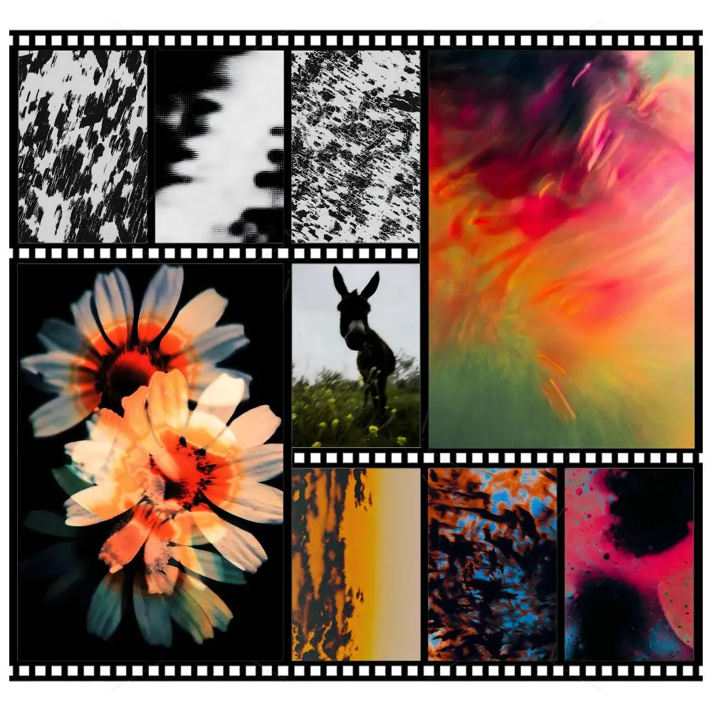 Artist Visual O-Omar Belattar Modern Art Poster Wall Art Poster HD Waterproof PP Print Bedroom Living Room Office Decor Gift