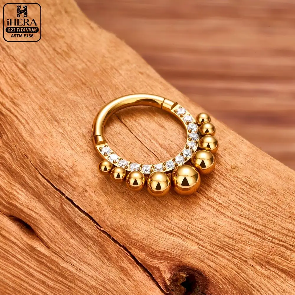 ASTM F136 Titanium Luxury CZ Inlaid Hinged Segment Ring Round Hoop Daith Helix Septum Piercing Jewelry Clicker Nose Ring Set view 4