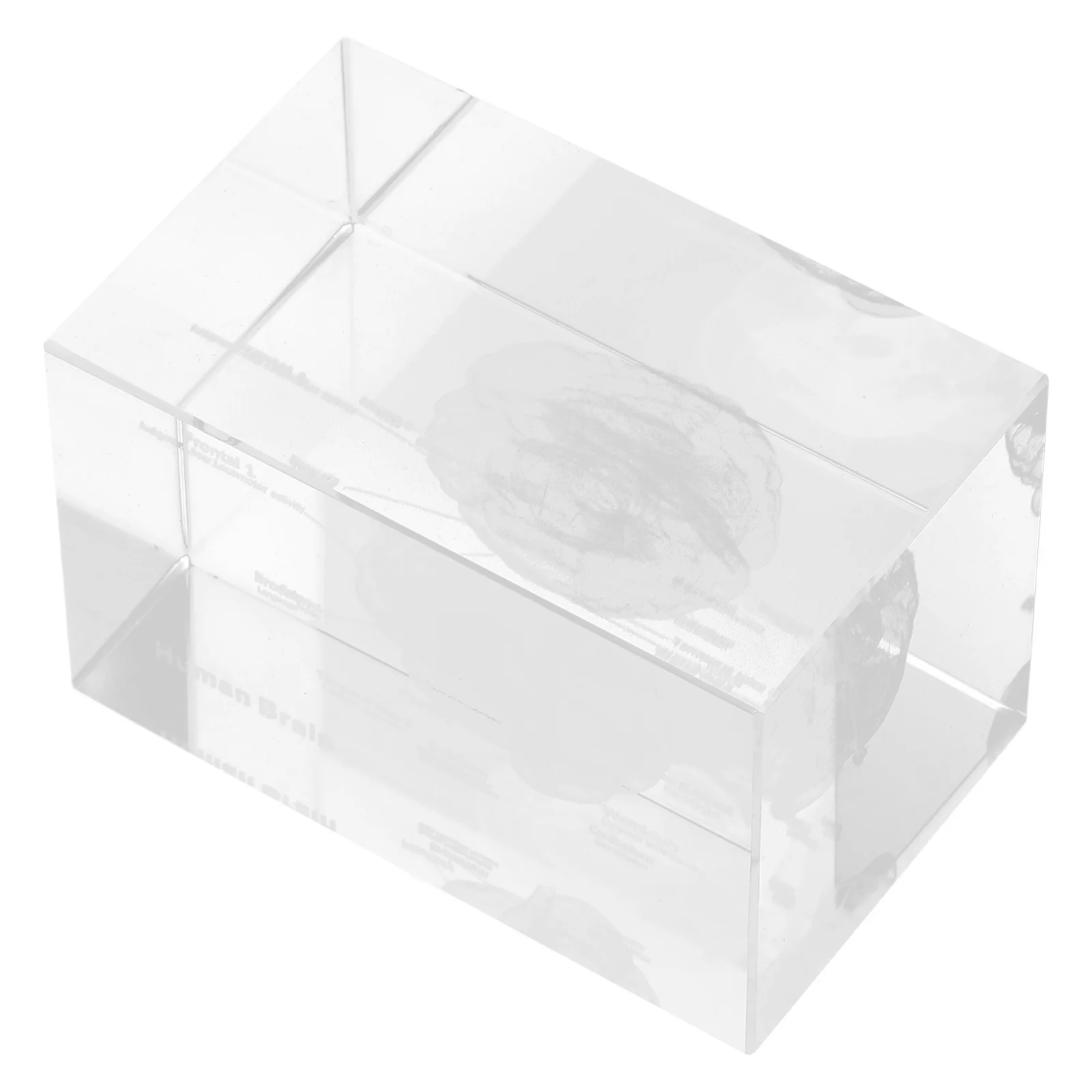 

Crystal Engraved Brain 3D Human Anatomy Cube Transparent Science Decor Educational Medical Display Tool Home Office