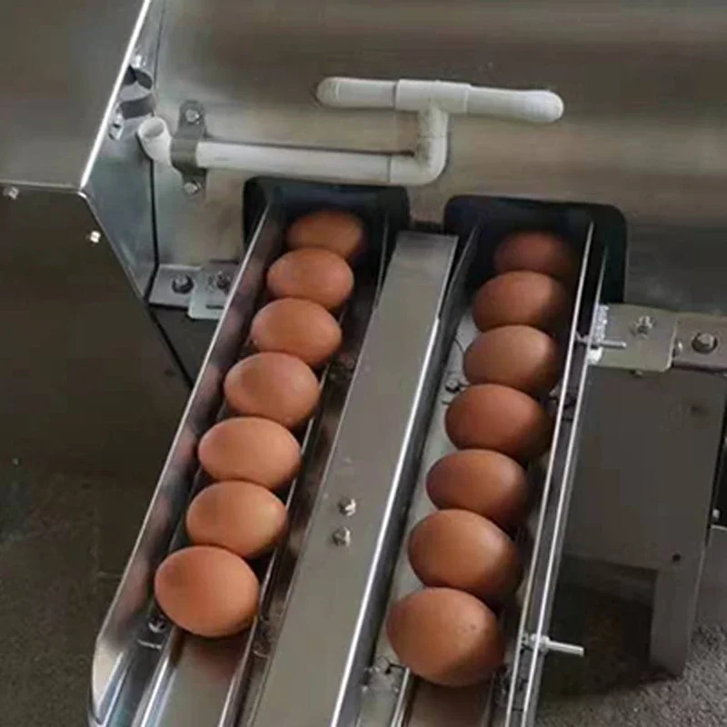 Máquina comercial de lavar ovos de pato, aço inoxidável, 4000 peças/hora, máquina de limpeza de ovos de galinha, 500w