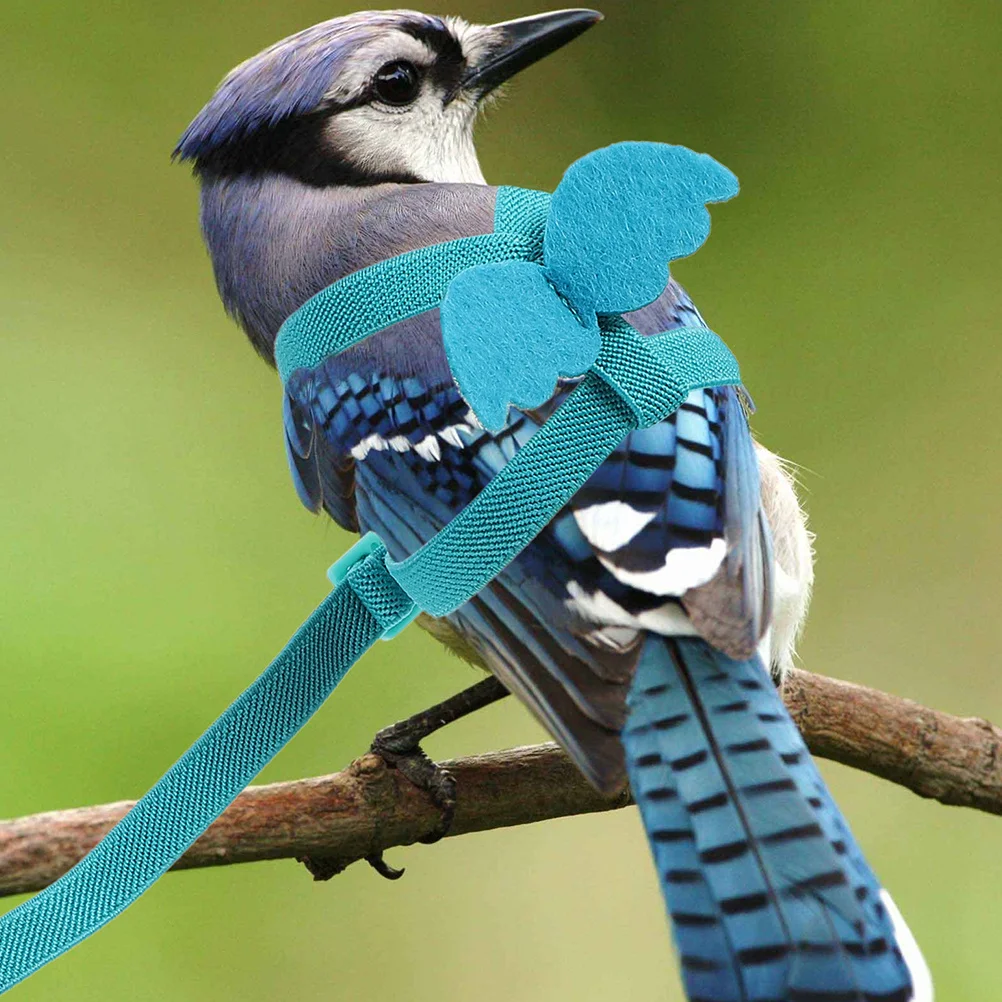 

Parrot Flying Harness Adjustable Lightweight Wear-Resistant Leash for Cockatiels Conures Indoor Outdoor Bird Training Rope