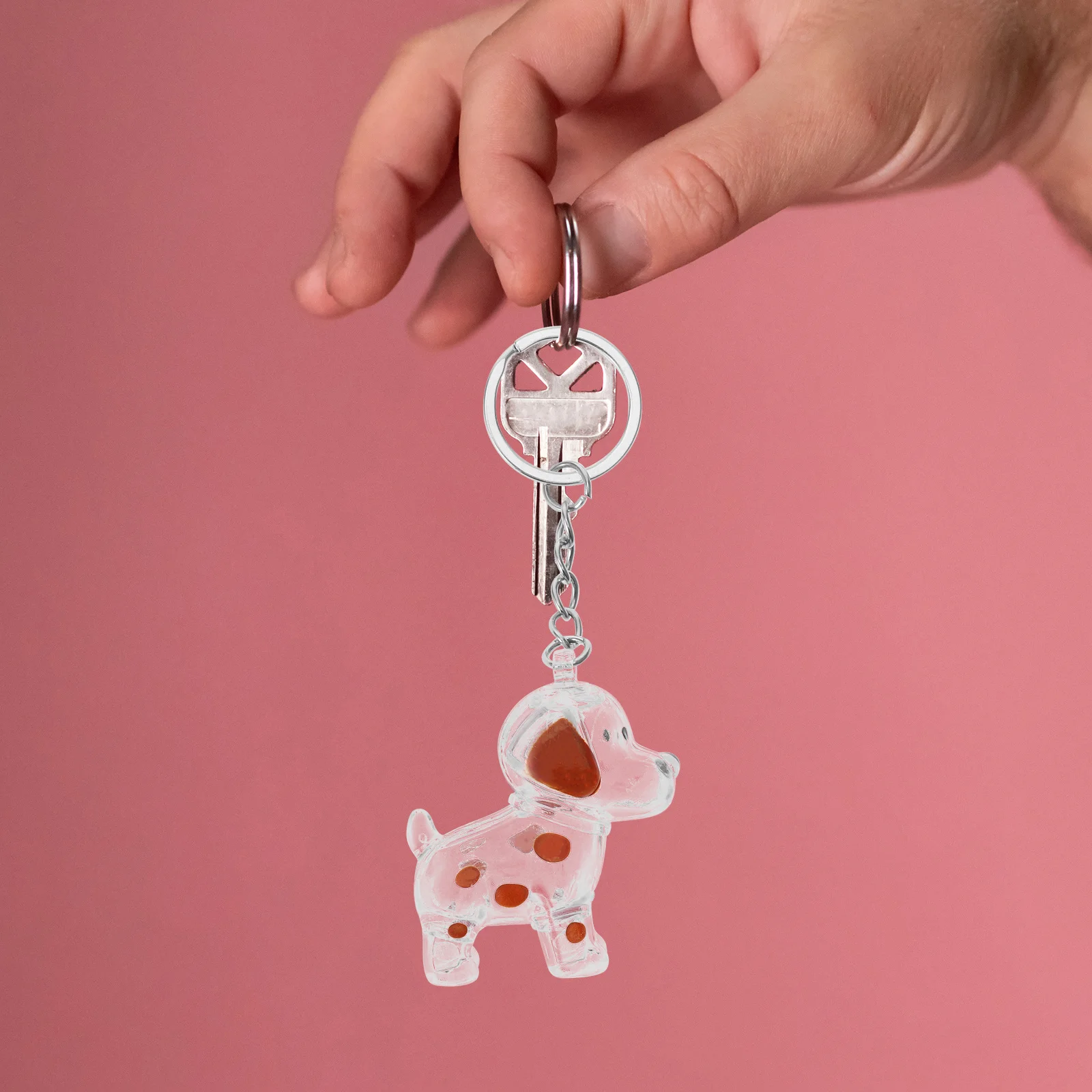 

Pet Hair Collector Transparent Keepsake Box Memorial Keychain Bag Charm Dog Storage Pendant Souvenir for Travel Daily Use