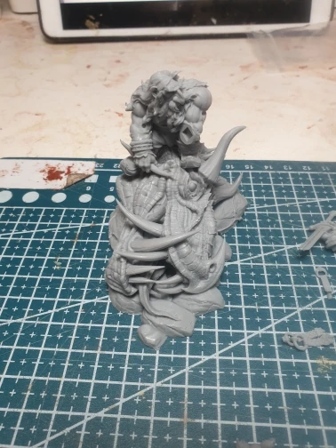Buyer photo of this resin kit