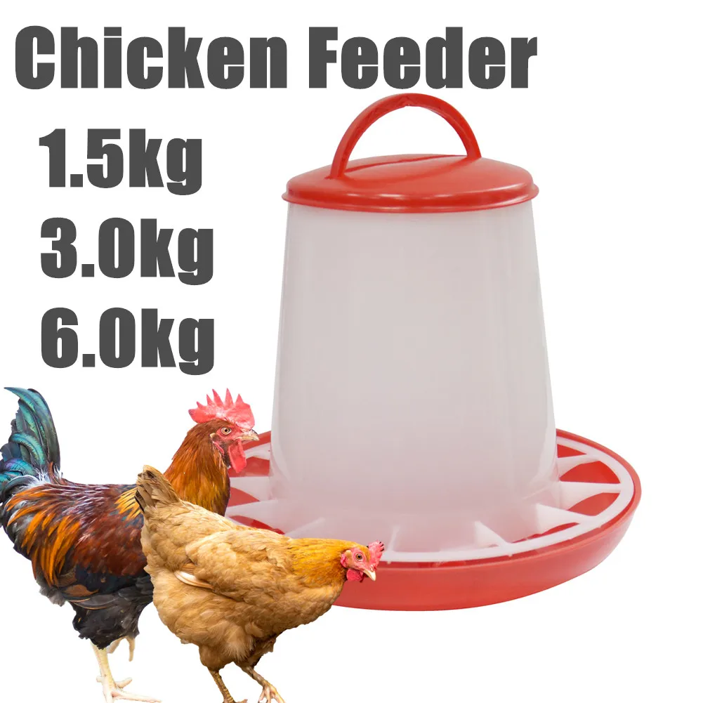 Chicken Feeder 1.5/3/6kg Quality Chicken Automatic Feeder Quail Pigeon Feeder Chicken Feeding Bucket Poultry Animal Feeding Tool