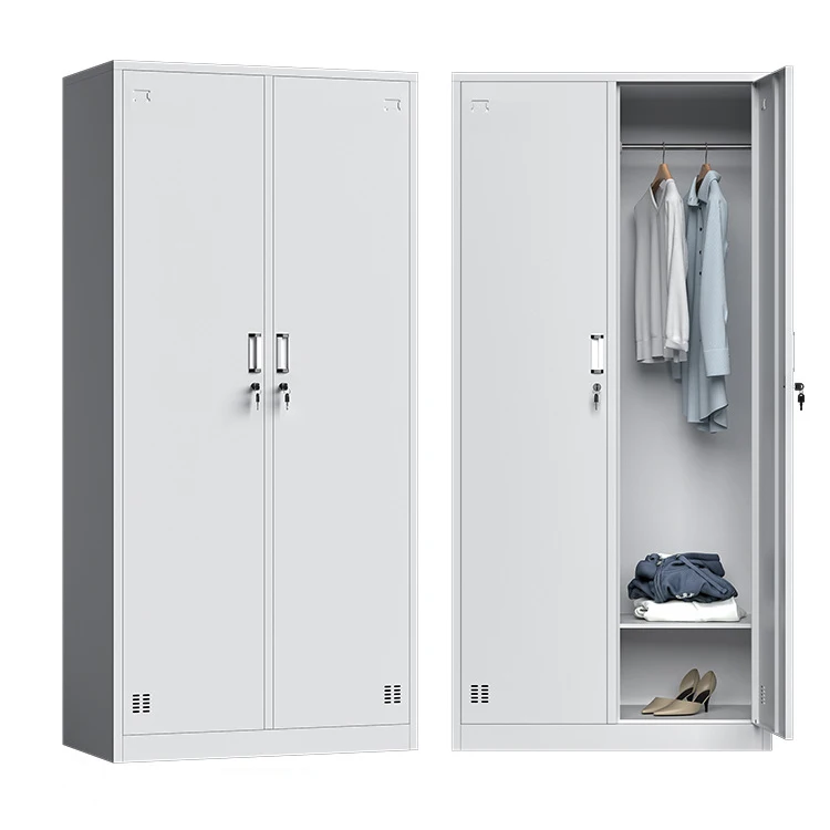 

Modern standing 2-Door Steel Wardrobe Portable Home Furniture for Bedroom Apartment or Workshop Usepromote sales