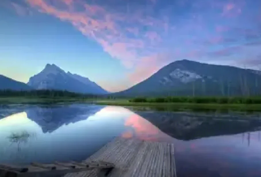 جهاز استقبال Foxeer ELRS 2.4G إشارة إرسال موثوقة PA + LNA مع هوائي T لطائرة سباق RC FPV بدون طيار #1