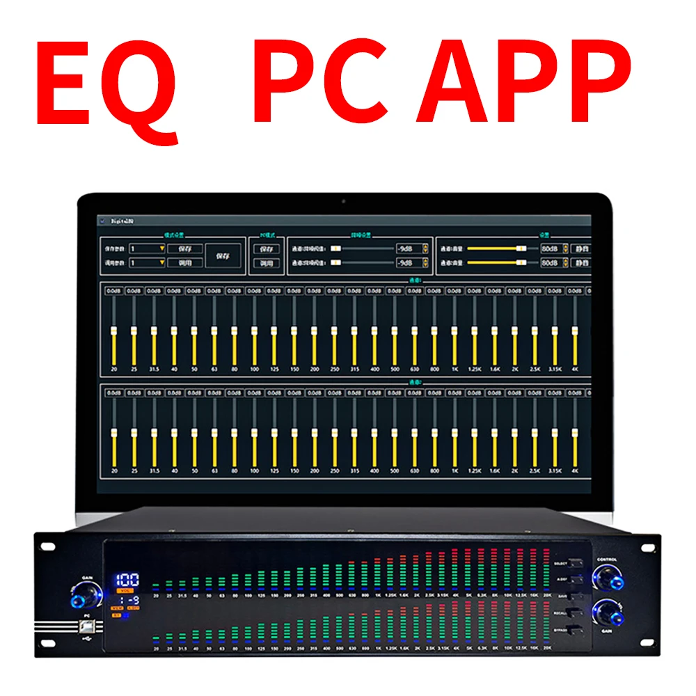 

FSWIRI Professional equalizer dual channel 31 segment home stage performance equalizer graphic equalizer With computer software