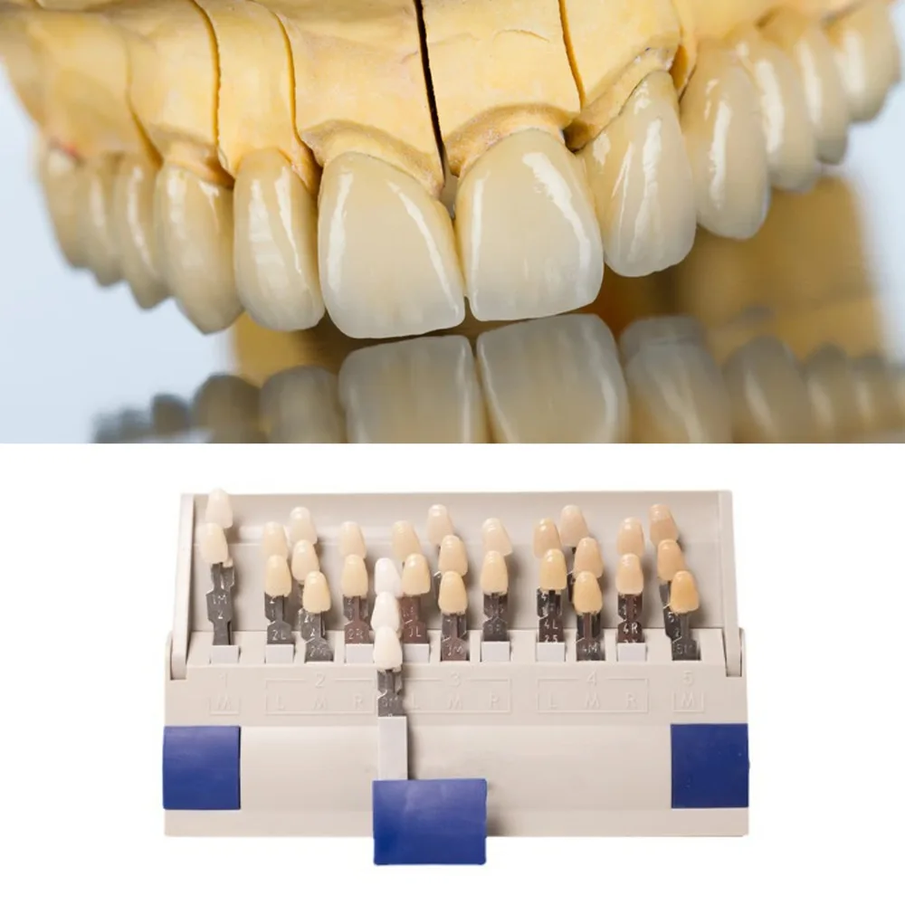 16 Colors Teeth Shade Guide Individually Removable Colorimetric Plate Teeth Whitening Guide Vita Tooth 3D Master