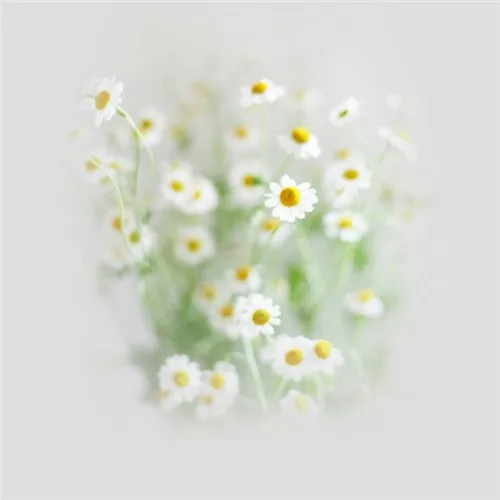 

MJX RC Hyper Go 14211 RC Car Parts For Modified Accessories Car Shell