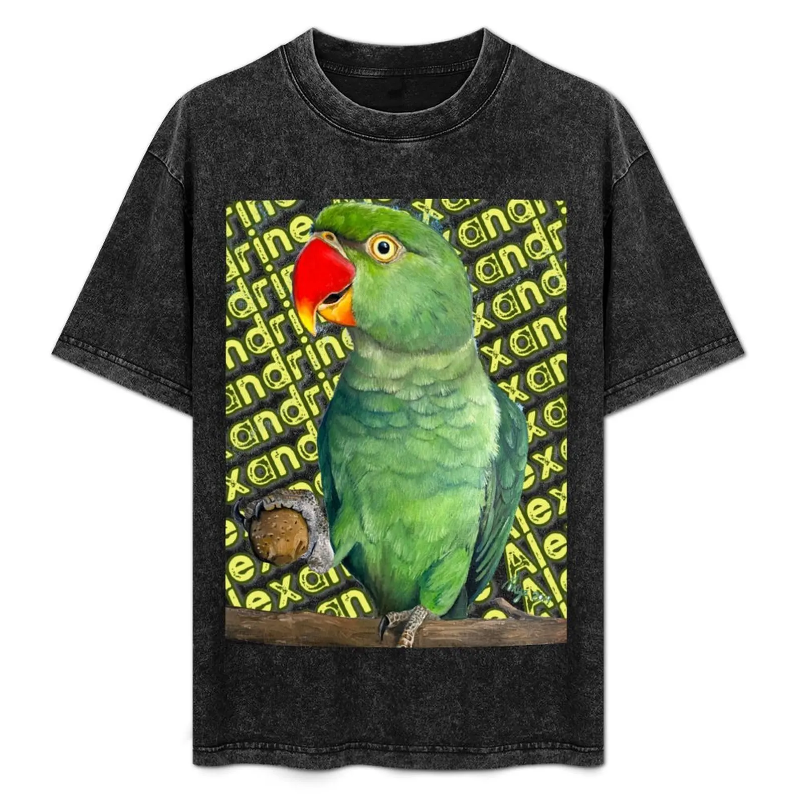 

Alexandrine T-Shirt Simple Trendy Casual T-Shirt