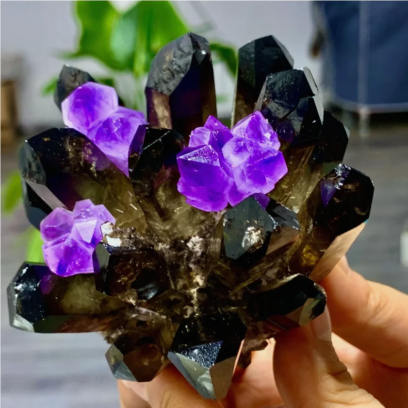 New Find black+purple Phantom Quartz Crystal Cluster Mineral Specimen