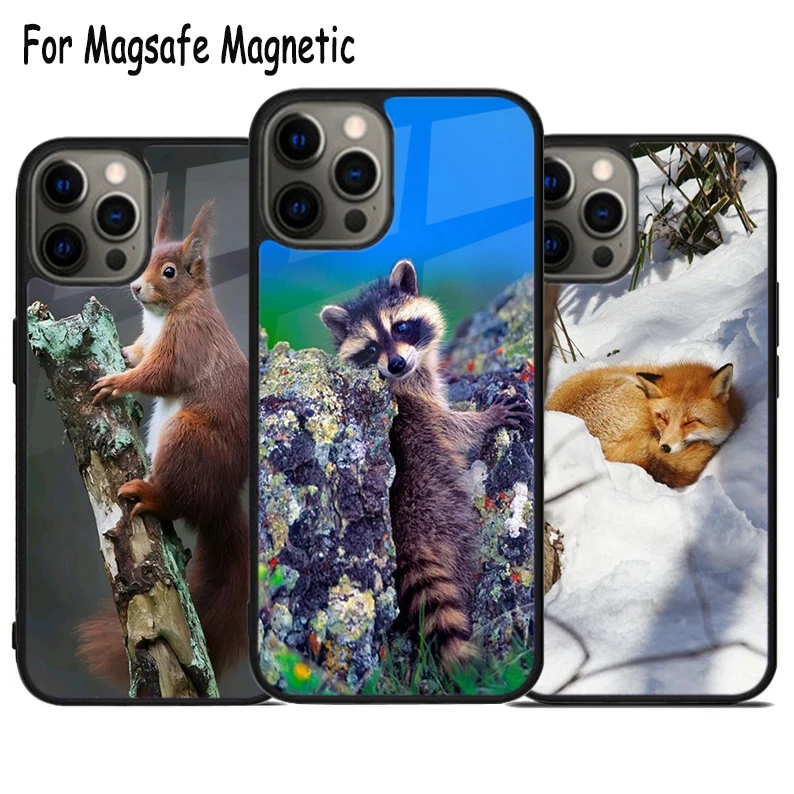 

Various Zoo Animals Wild Cute Wireless Charge Magsafe Phone Case For iPhone 15 16 14 13 11 12 Pro Max Plus Magnetic Bumper Cover