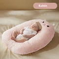 Pink Rabbit