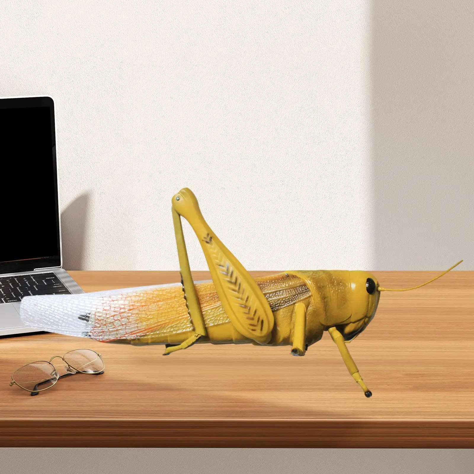 Locusts Model Education Home Lightweight Desktop Decor Sturdy Learning Tool