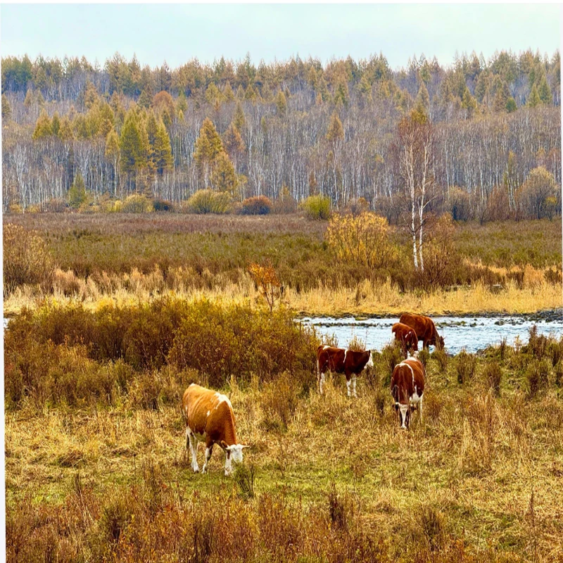 Holybro H-Flow プロフェッショナル オプティカル フローおよびレンジファインダー モジュール（ドローンCANプロトコル対応、ドローンおよびロボット工学用）