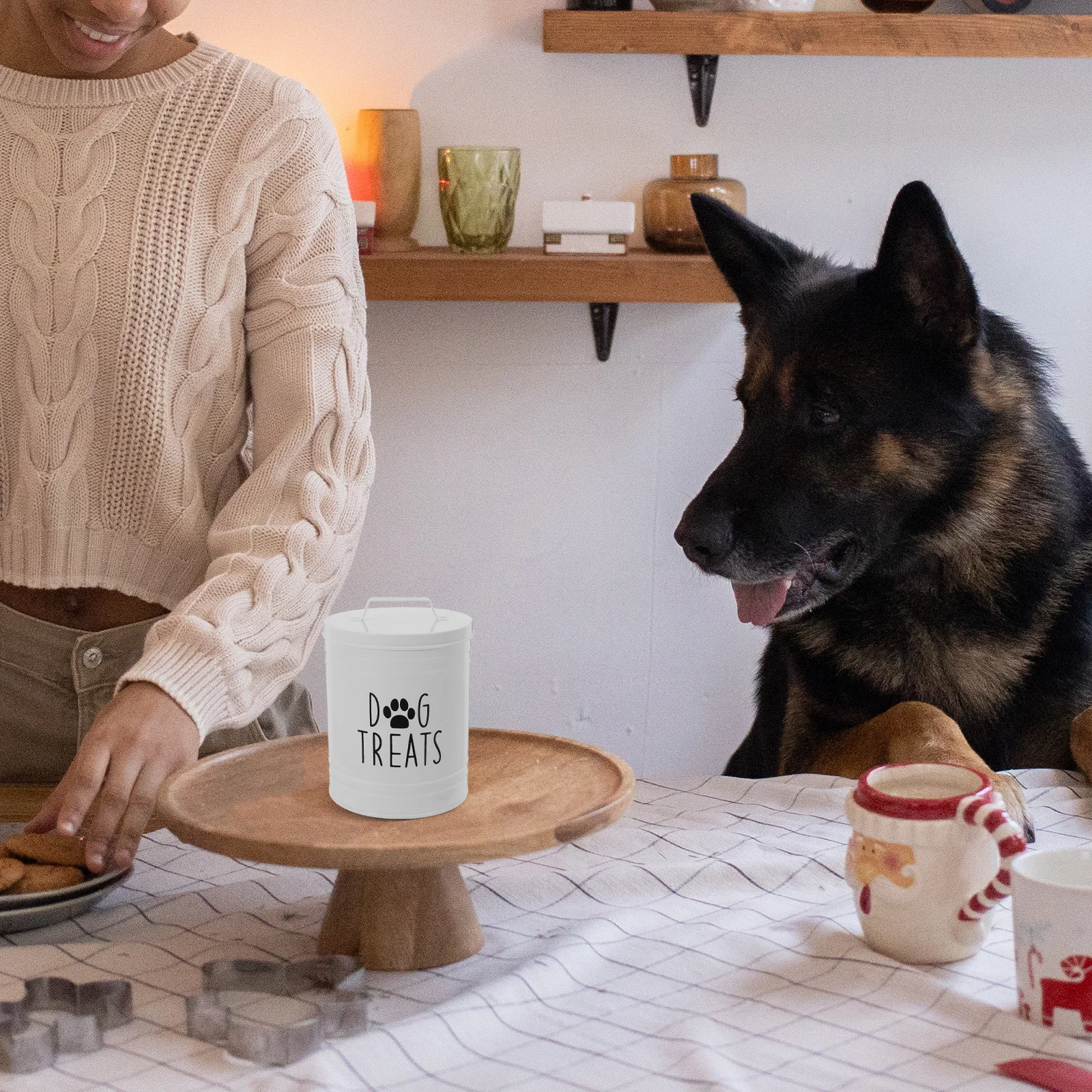 

Large Dog Food Storage Container Airtight Metal Bin For Countertop Sealed Dog Biscuit Container Farmhouse Organizer