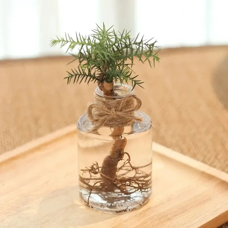 히아신스 투명 꽃병, 홈 거실 정원 장식, 책상 장식, 꽃병, 식물 병, DIY 냄비