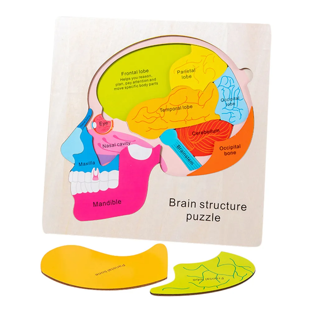 

1Set Brain Structure Puzzle Wooden Matching Educational Game Develop Kids Creative Thinking Cognitive Skills Hands-on Memory