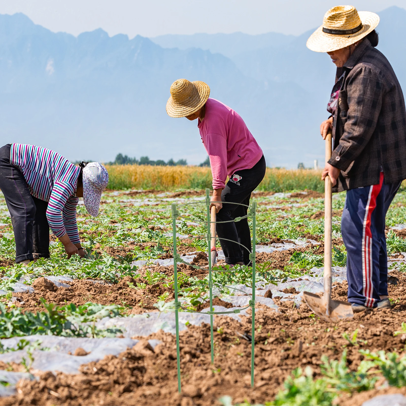 

2Sets Climbing Plant Trellis Cylindrical Fiberglass Garden Support for Roses Vines Balcony Vertical Growth Structure
