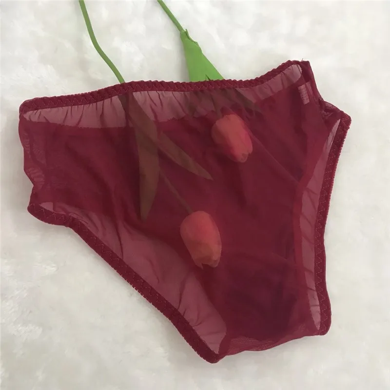 M-4XL Gay Underwear Men Erotic Panties Breathable Lace Briefs See Through Convex Pouch Underwear Sissy Sexy Lingerie